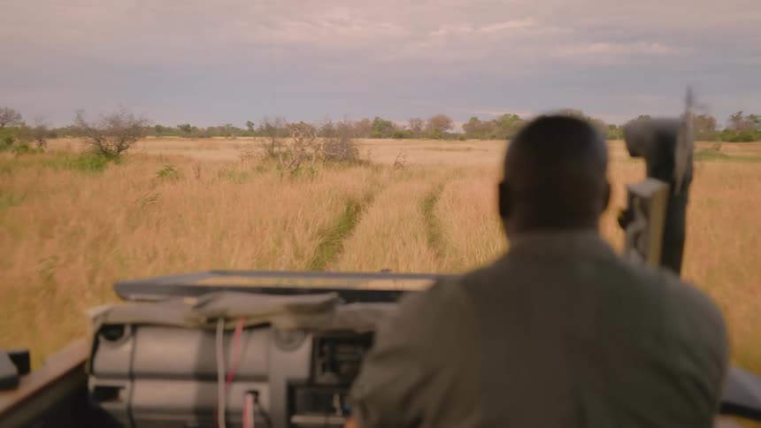 A man drives a vehicle through a grassy plain