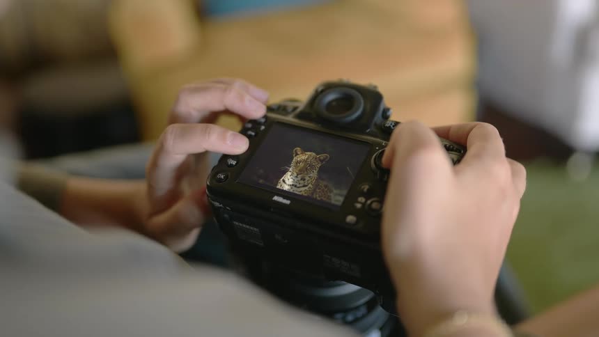 Looking through the camera