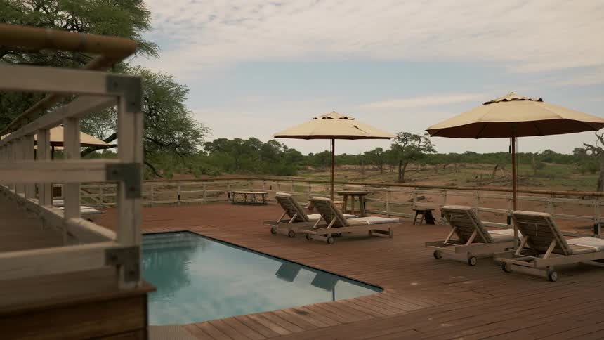 A large deck with a recessed pool is located on a wooded plain