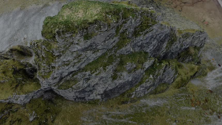 Birds fly around a rock formation covered with vegetation