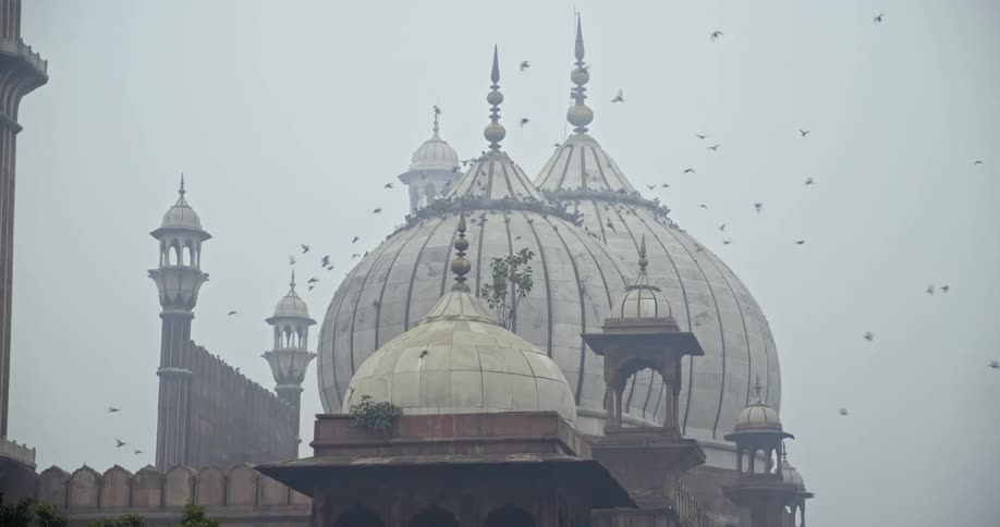 Birds fly around spire of Jama Masjid Mosque of Delhi