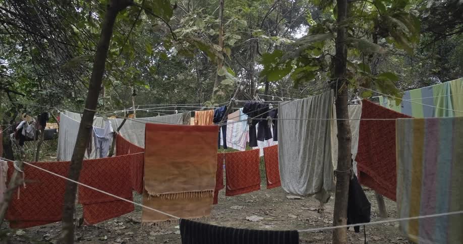 Multiple clothes lines cross from tree to tree with towels and sheets hanging