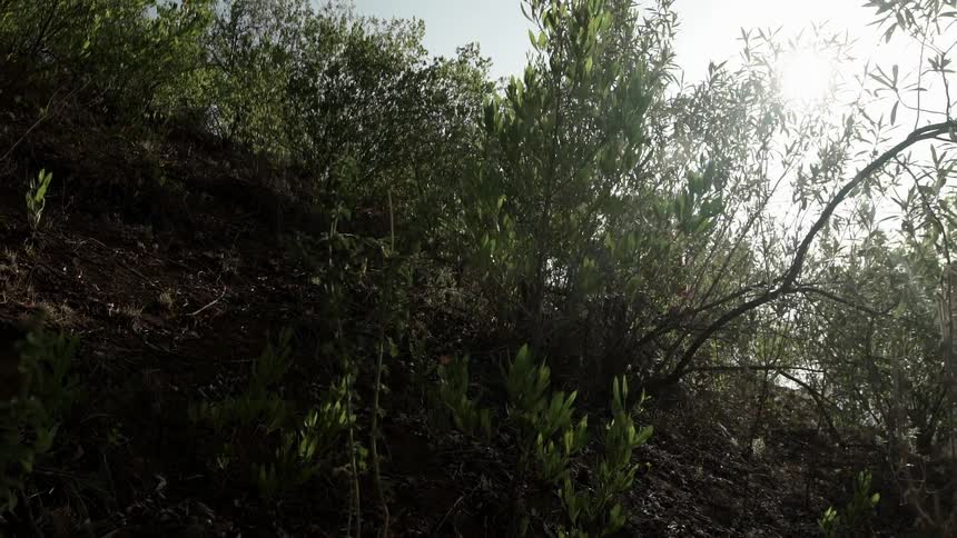 A man is climbing a steep hill on a cloudy day