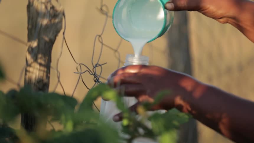A person pours milk back into a jug