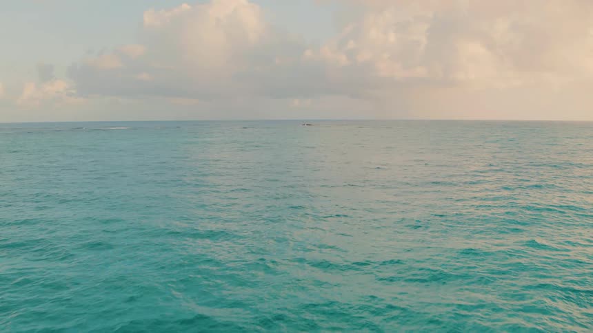 The waves are rough in the vast ocean