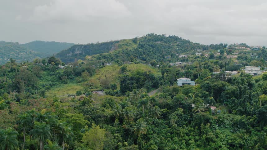 Landscape view of houses nestled in trees