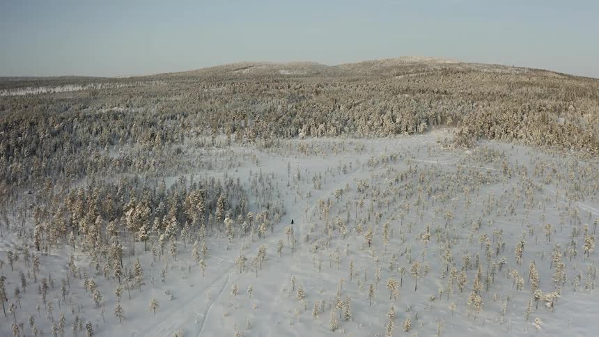 Aerial view of man in riding a fatbike in a boreal forest in winter