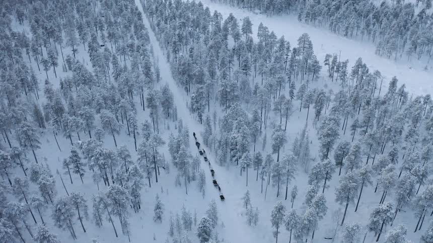 Birds eye view of a sled team traveling down a snowy path