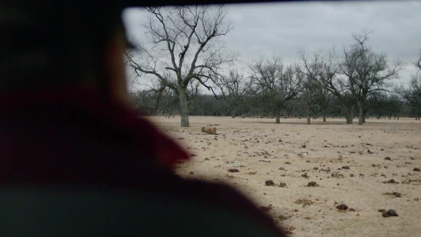 Person drivesfield toward leafless tree under a cloudy sky