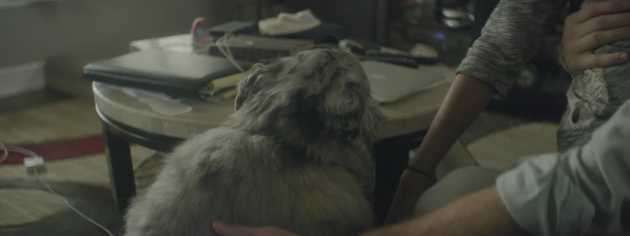 A couple pet their dog in the living room