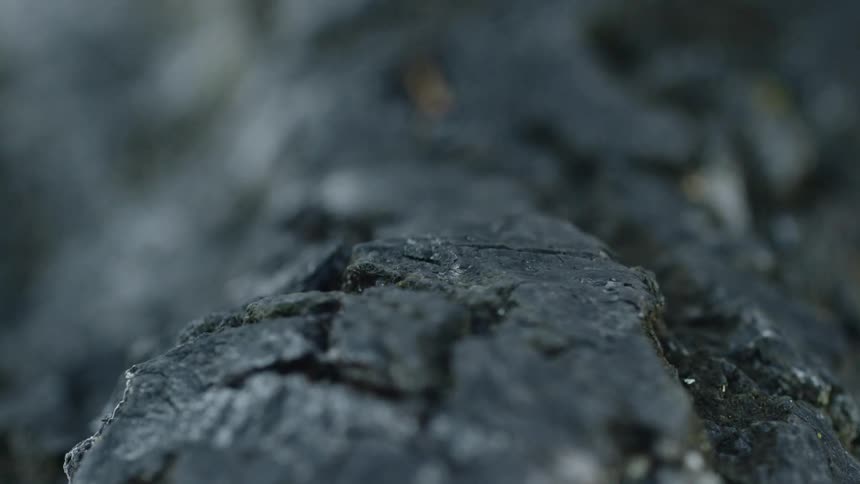 Soil in the sunlight