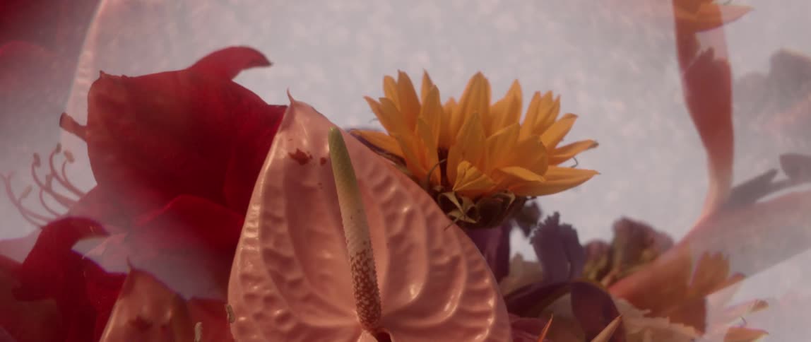 Reflection of flower bouquet rotates