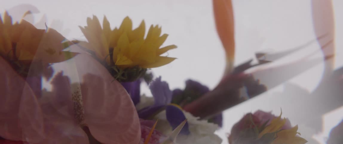 Light flashes on the floral bouquet
