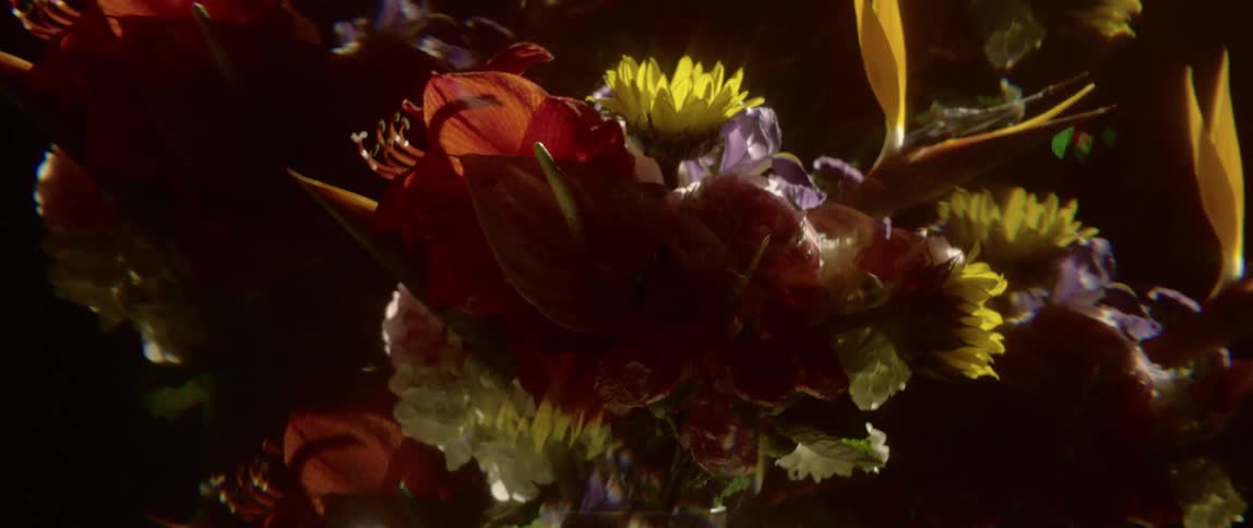 Duplicate images of central bouquet rotate around the center