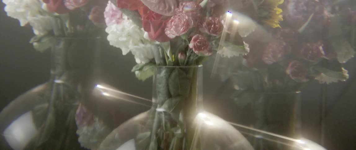 Vases filled with flowers on display under strobing lights