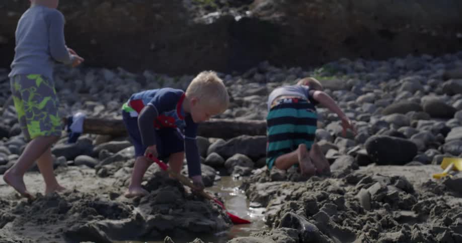A group of kids playing in a small stream