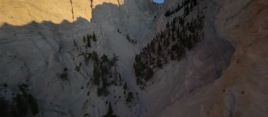 Aerial shot of a mountainside with some trees
