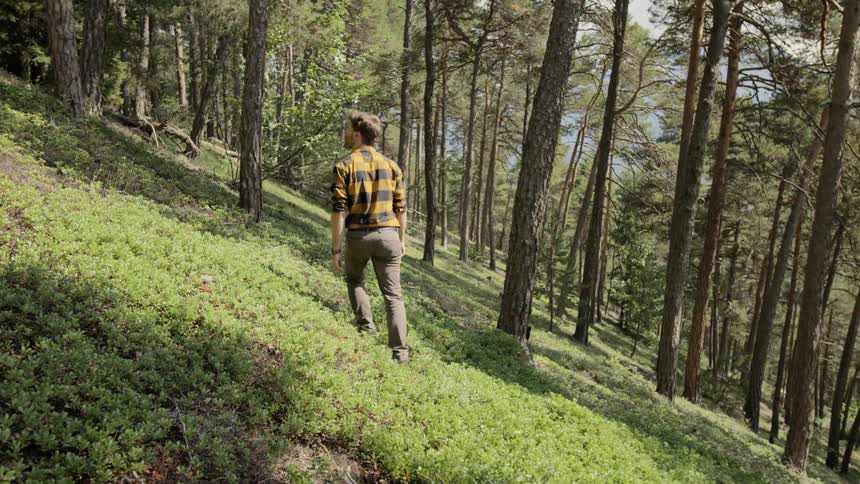 A man walks through a forest area by himself