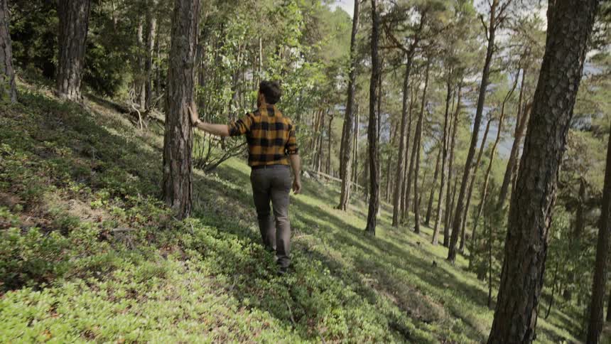A white man walks through a hilly forest