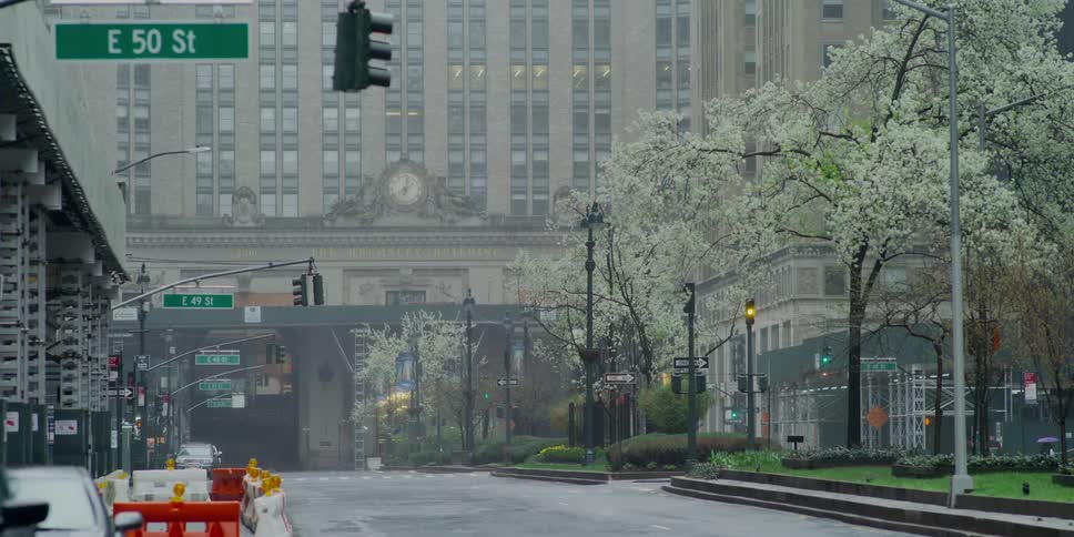 Nothing moves on an empty city street