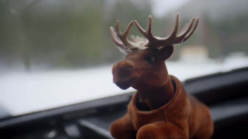 Bobble head moose figurine move as vehicle drives through snow