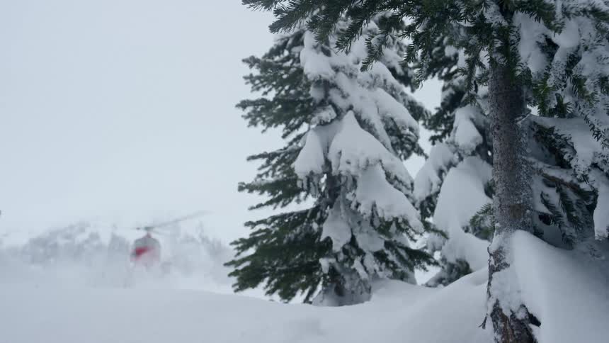 A helicopter flies near snow covered trees