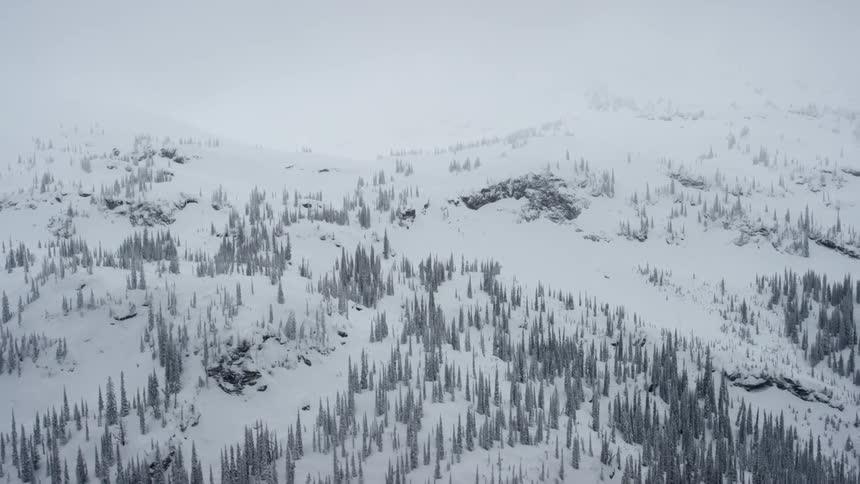 Snow on the mountains