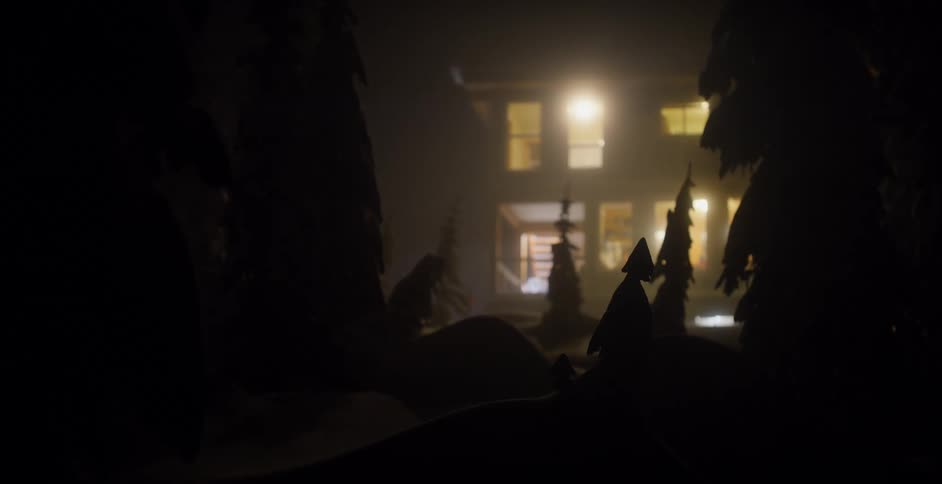 The silhouettes of trees and snow mounds frame a cabin with lights on and windows glowing at night