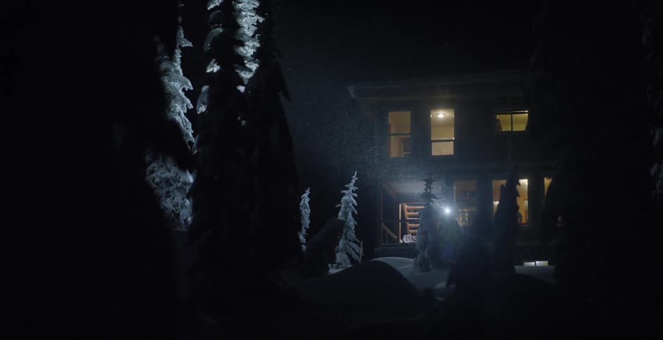 Light shines through the windows of a cabin during a snow storm at night with snow covered trees in silhouette