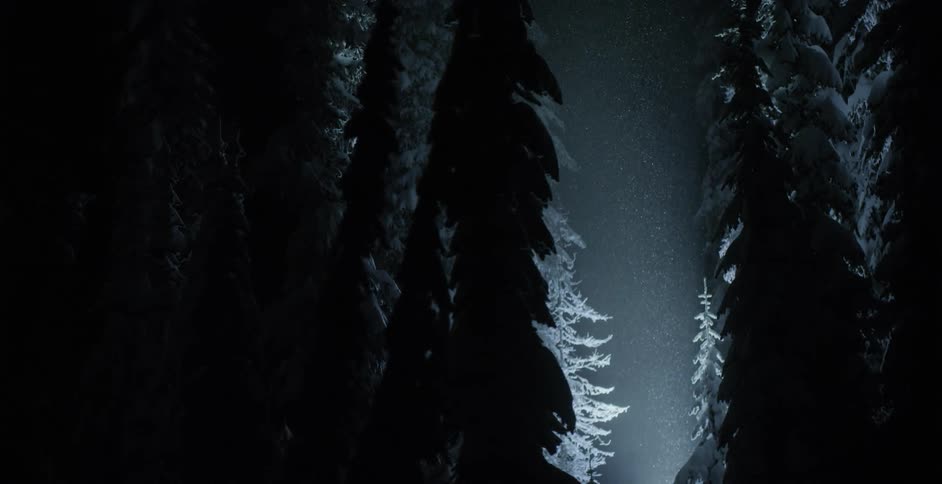 Snow falls towards beam of light in dark pine forest