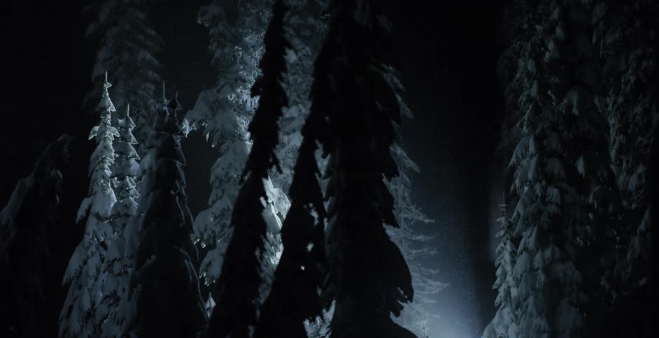 Trees covered with snow with lights in the background