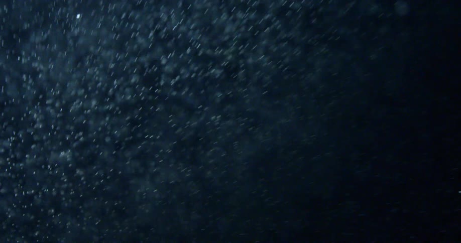 Snow falling in the night sky