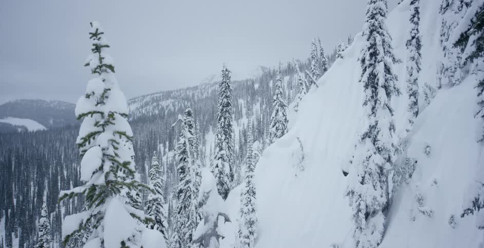 A mountain slope covered in snow and pine trees in the winter