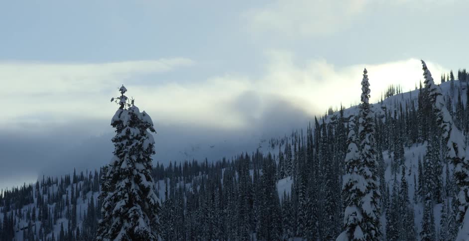 The sun sets over a snowy forest