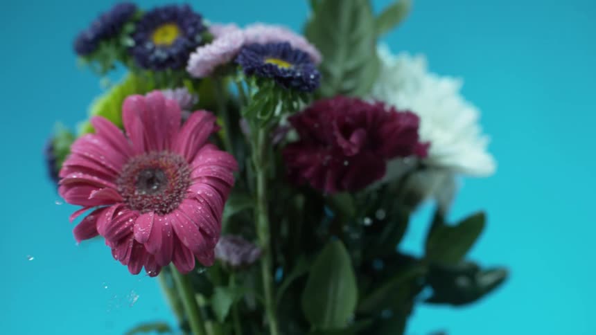 Water splashes off of a bouquet of flowers