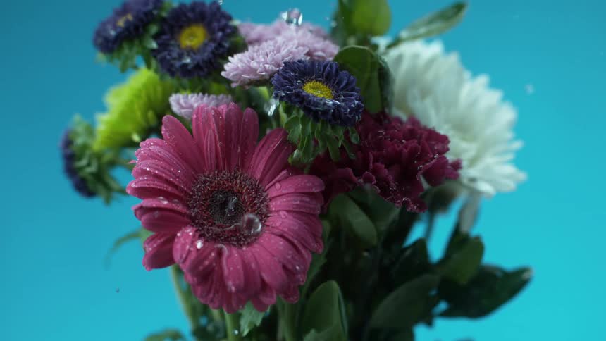 Drops of water fall on a bouquet of flowers in front of a blue background