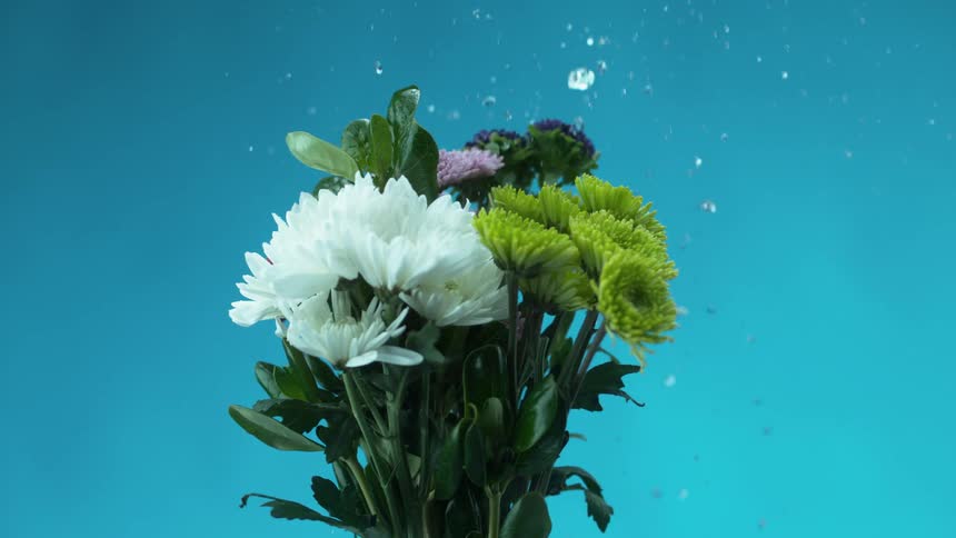A bouquet of flowers spinning as drops of water fall on it from above