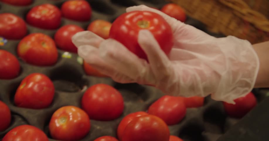 Woman wearing plastic gloves picks up tomato in the supermarket