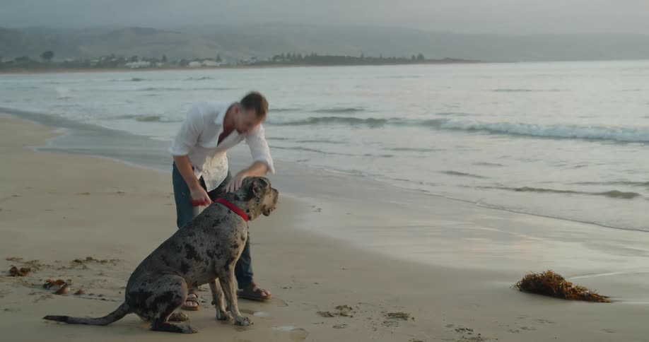 A man stands on a beach with a dog