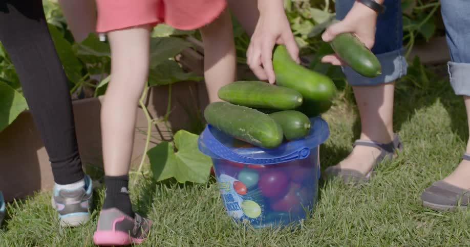 Filling a container full of vegetables