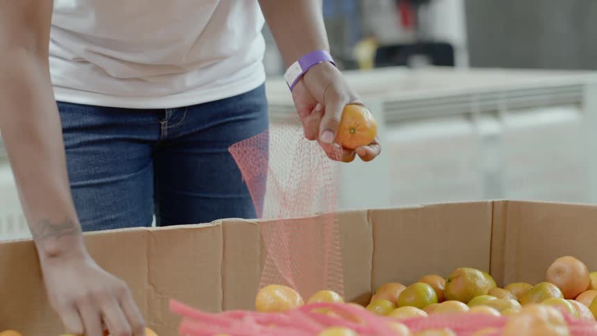 Hands picking oranges from large box then placing in mesh bag