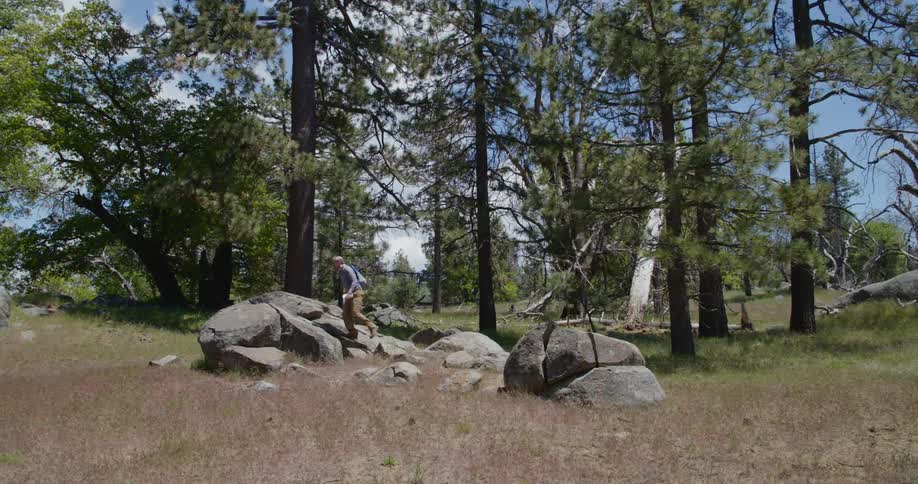 A man walking and sitting on rocks with the forest in the background