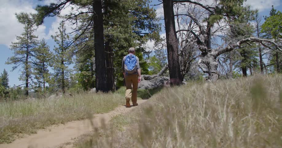 A man with a blue backpack walking in a pathway towards the forest
