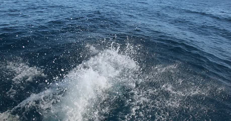 A man in scuba gear jumps into the water