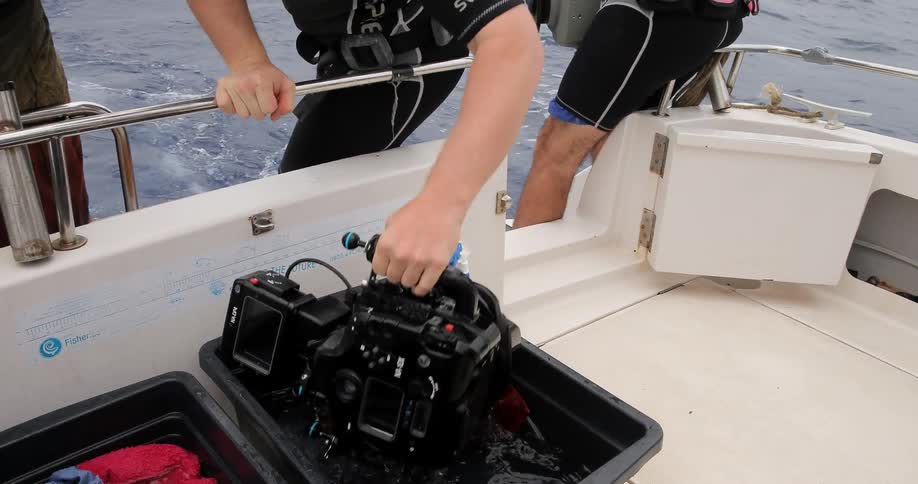 Divers are preparing their cameras on a boat