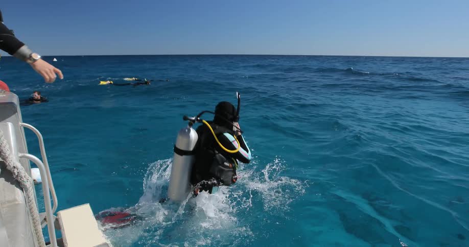 A diver enters the ocean