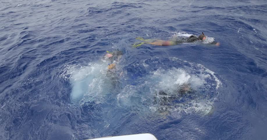 Four people wearing scuba gear dive into the water