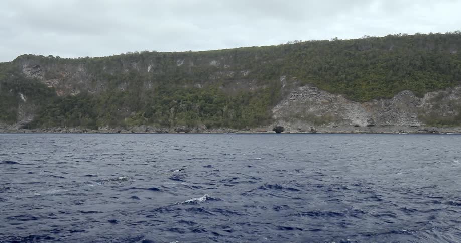 Cliffs and a beach on a coastline