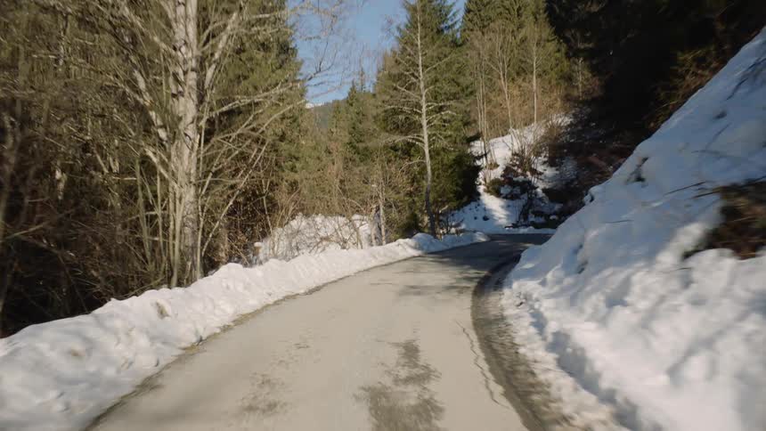 A narrow road in a tree covered area
