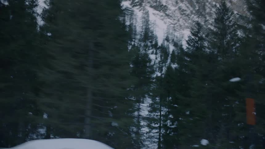 Snow covered mountains tower over forest bordering road